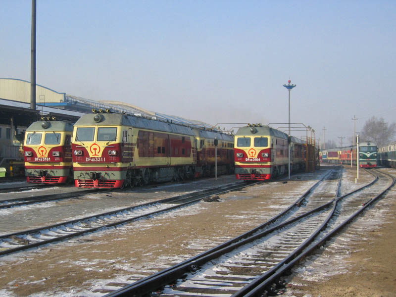 DF4D 3164.jpg